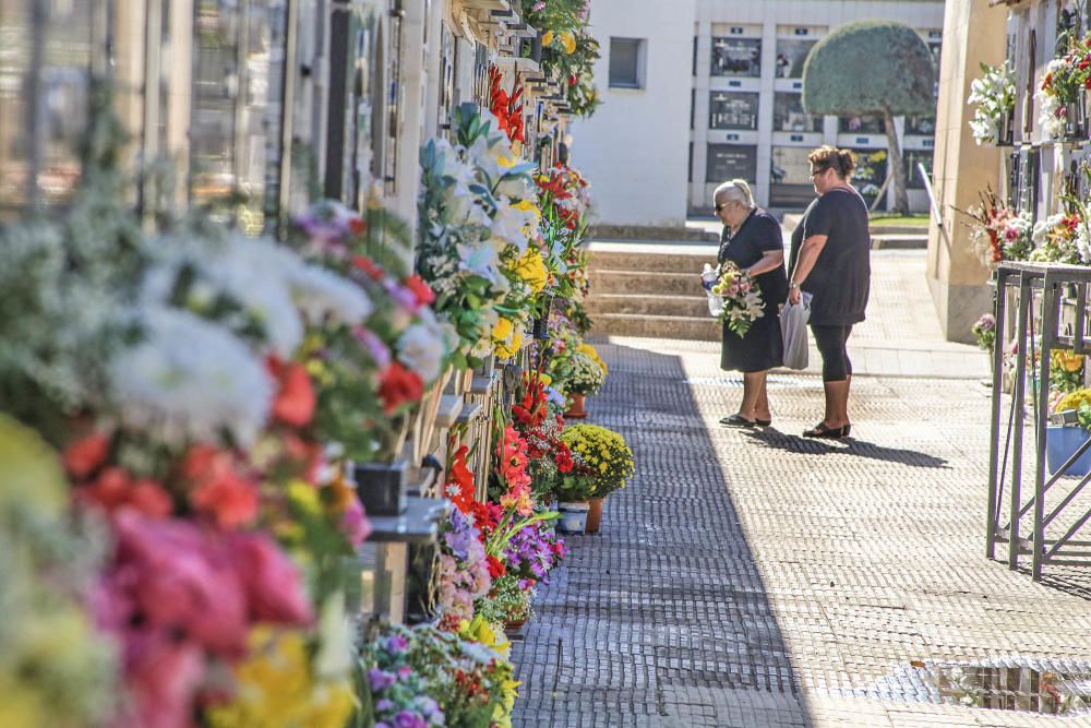 Visita al cementerio de Torrevieja en Todos los Sa