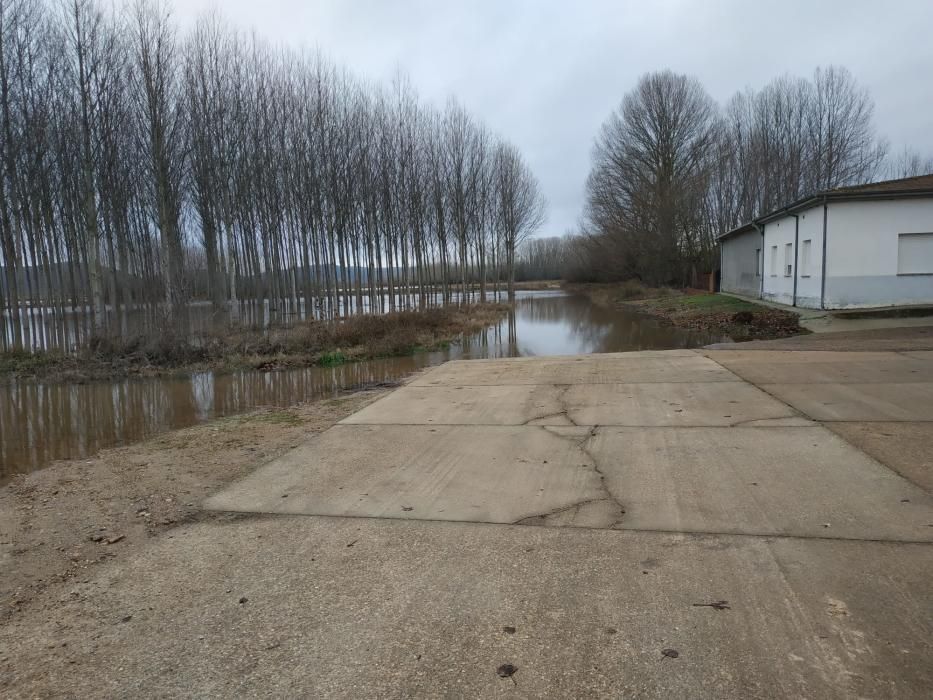 Benavente | El río Órbigo rodea ya Vecilla de la P