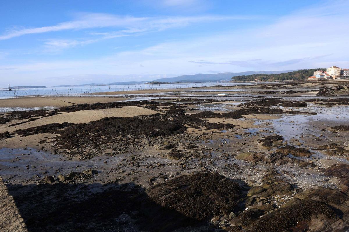 La ría asiste a las primeras "mareas vivas" del año.