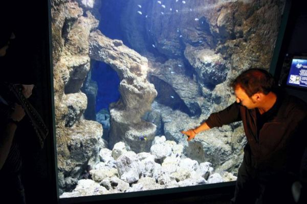 El acuario rediseña su plan comercial