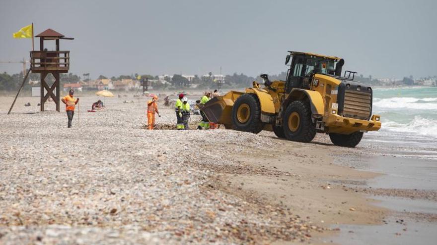 Costas reanuda los trabajos de emergencia en el litoral norte de Sagunt | DANIEL TORTAJADA