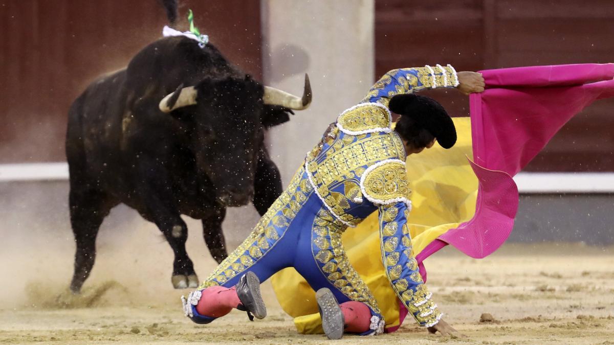 El torero Gómez del Pilar recibe de rodillas al segundo de su lote, durante el segundo &quot;Desafío Ganadero&quot; entre los hierros de Palha y Hoyo de la Gitana celebrado en Las Ventas