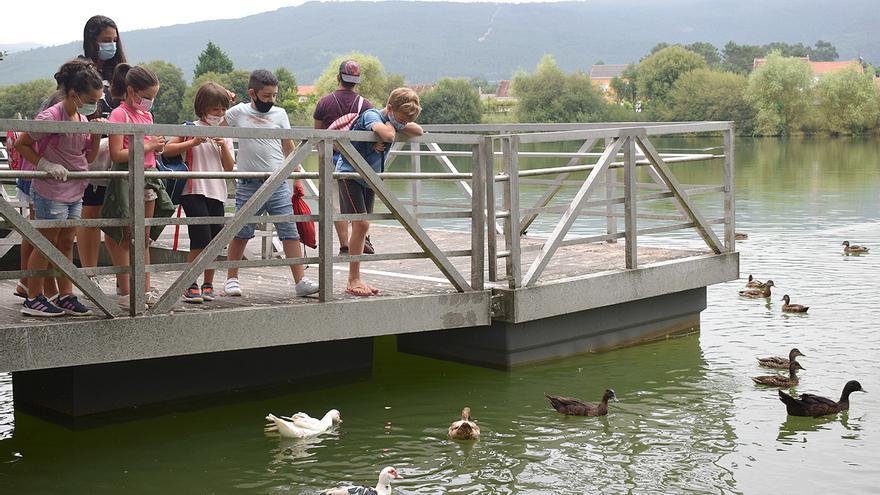 Los ladrones no respetan a los patos ni a las ocas