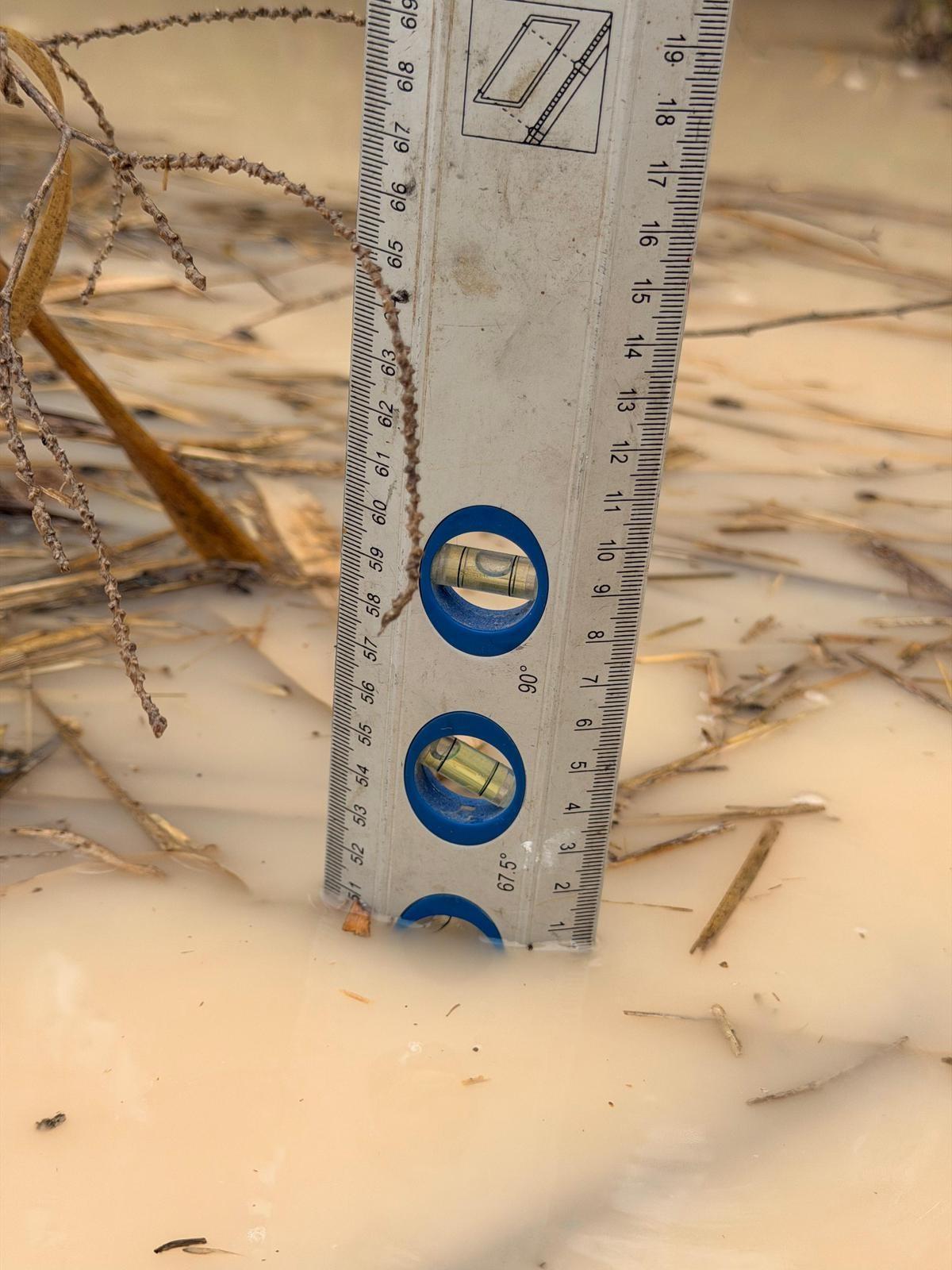 En algunas zonas de la finca se alcanza medio metro de acumulación de agua