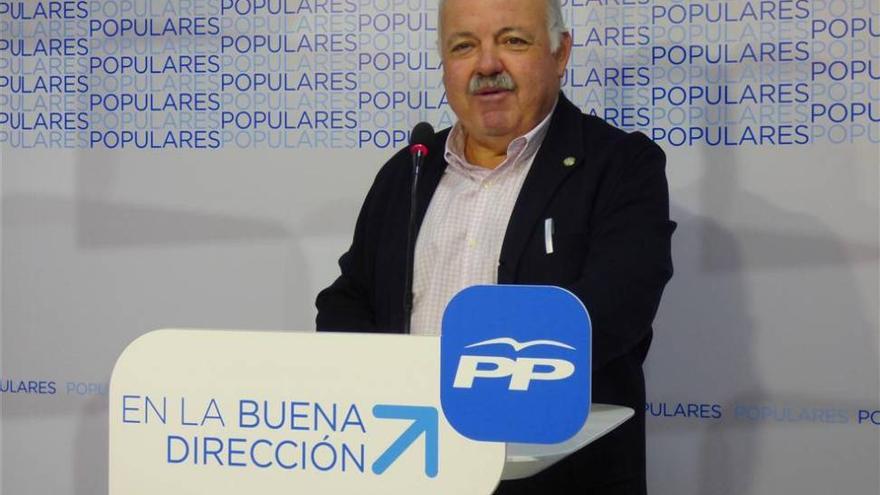 El PP destaca las medidas del Gobierno para agilizar la adopción