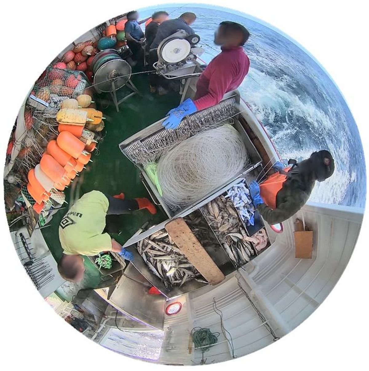 Marineros de un palangrero gallego en un cámara 360º