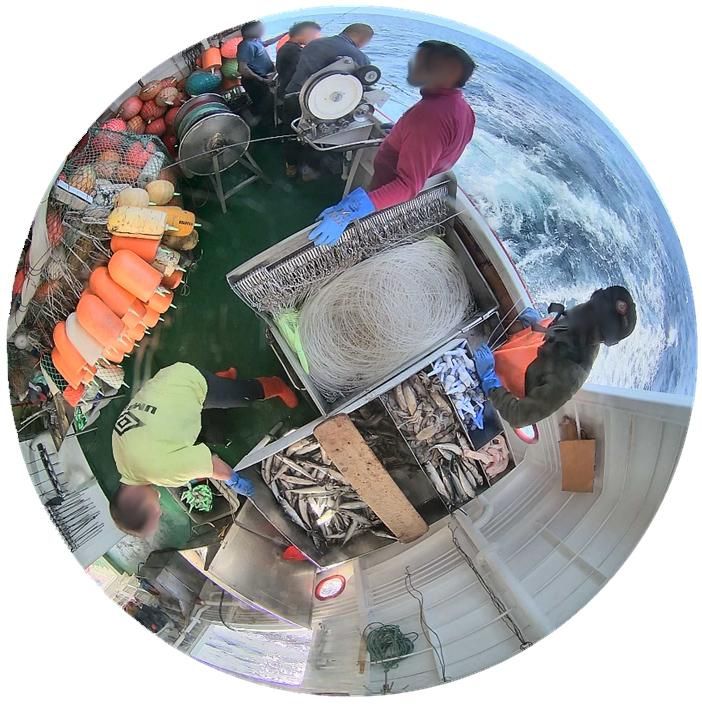 Marineros de un palangrero gallego en un cámara 360º