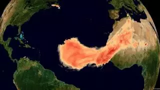 La calima sahariana ya llega al Caribe y EEUU: ¿Cómo sucede?