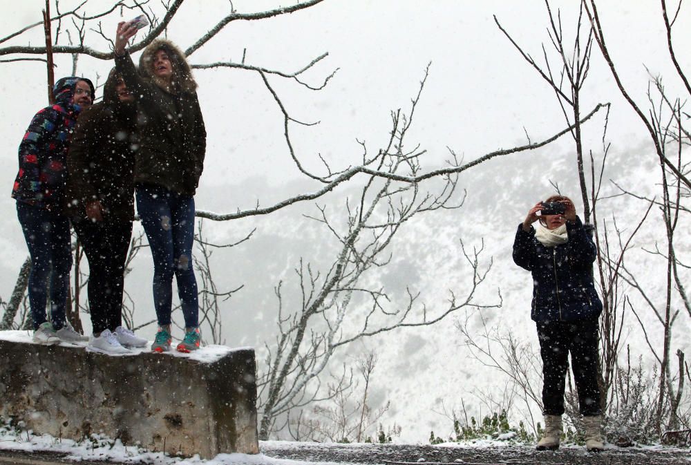 Primeras nieves de 2017 en la provincia de Málaga