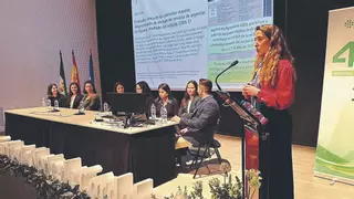 Grupos de investigación que hay en el Área Sanitaria Norte
