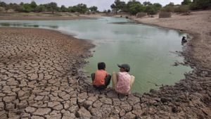El calentamiento pulverizó todos los récords en 2023