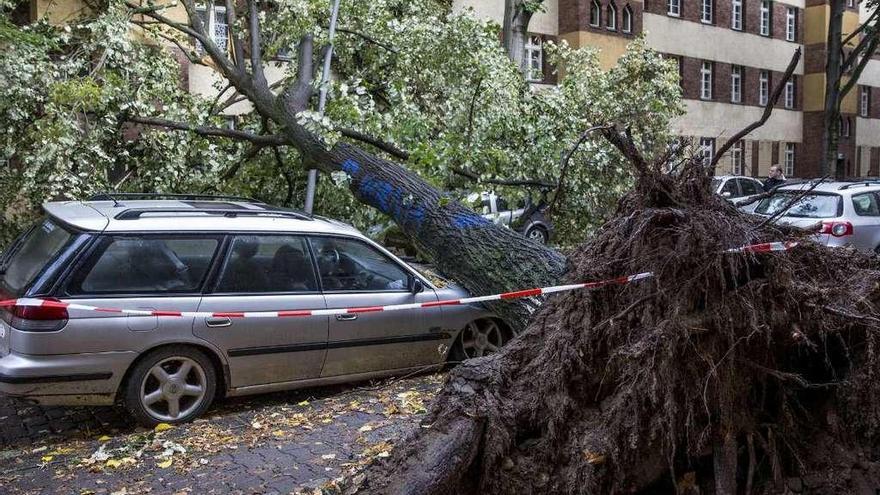 Un árbol caído sobre un vehículo en una calle de Berlín.