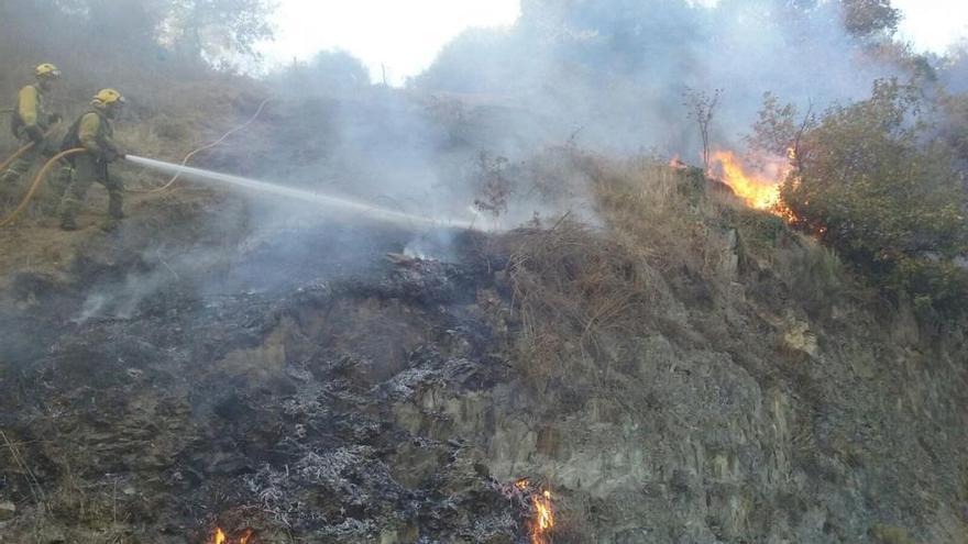 Miembros de la brigada de Tineo luchan contra el fuego en Amago.