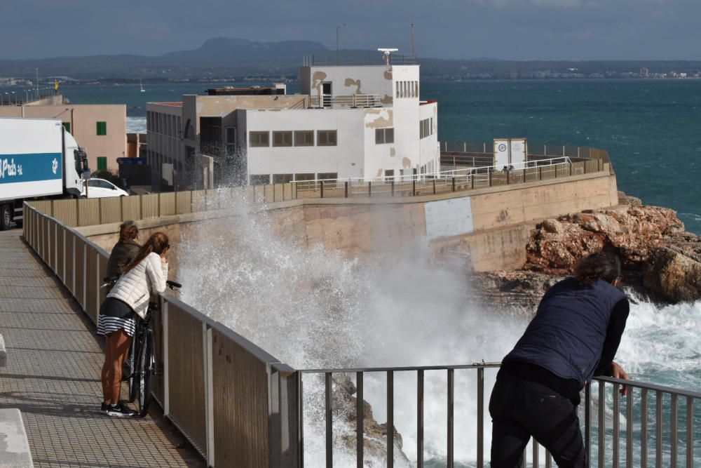 Temporal en la bahía de Palma