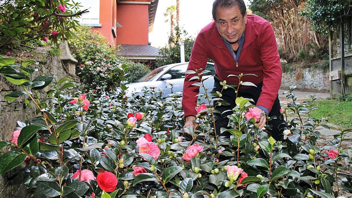 El guía del bosque-jardín, José Manuel Alba, entre las camelias del conjunto botánico. | A. M. Serrano