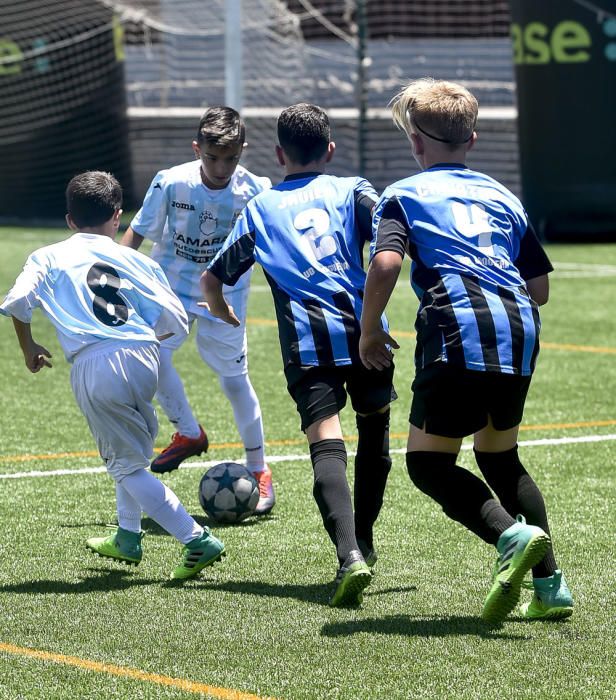 Partidos del Torneo Alevín en Maspalomas