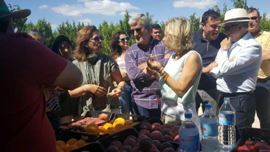 Buscan nuevas variedades de fruta de hueso en Abarán