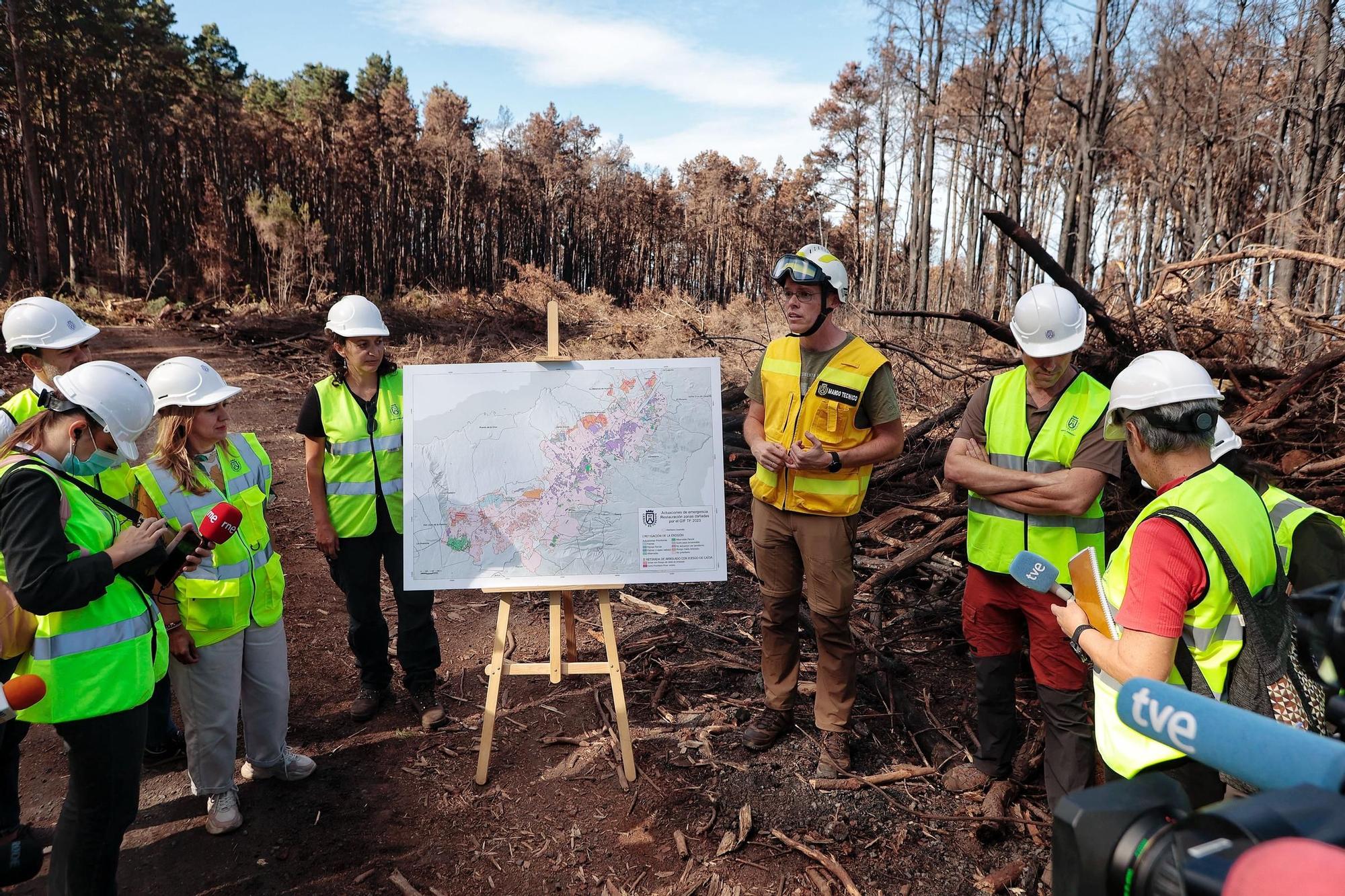 Visita a zonas afectadas por el incendio de agosto en Tenerife