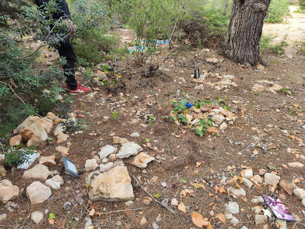 El cementerio ilegal de perros y gatos de sa Caleta en imágenes El cementerio ilegal de perros y gatos de sa Caleta en imágenes
