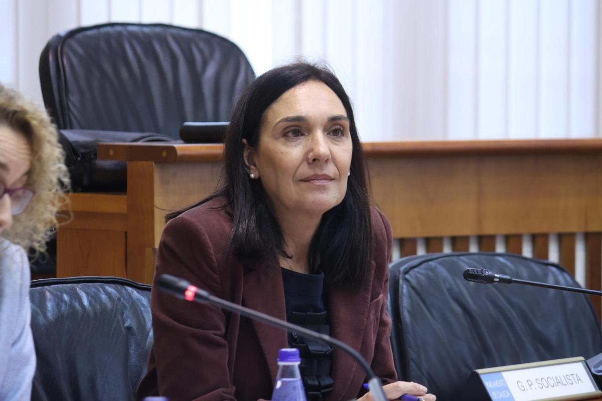 La diputada del PSdeG, Carmen R. Dacosta