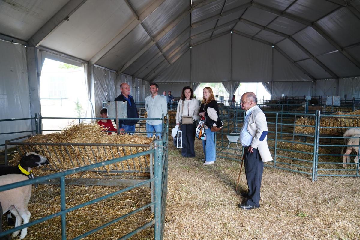 La Feria del Pastoreo de Villaralto, en imágenes