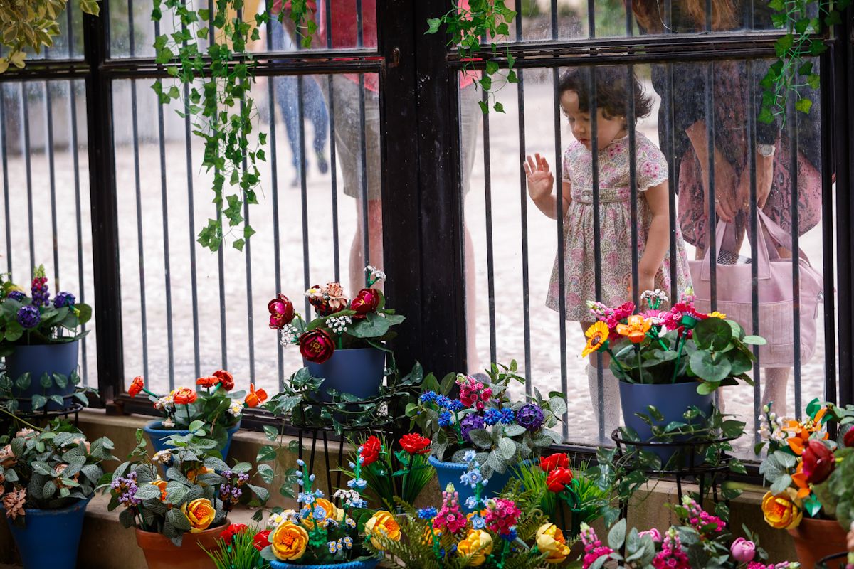 Así lucen los patios más visitados de la fiesta