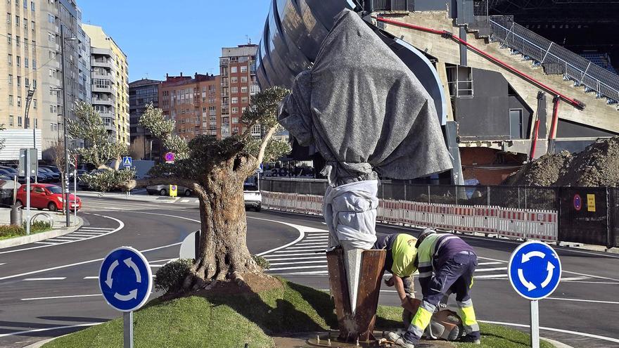 Avanza la rotonda de Balaídos con la escultura del escudo del Celta y una 'oliveira'.