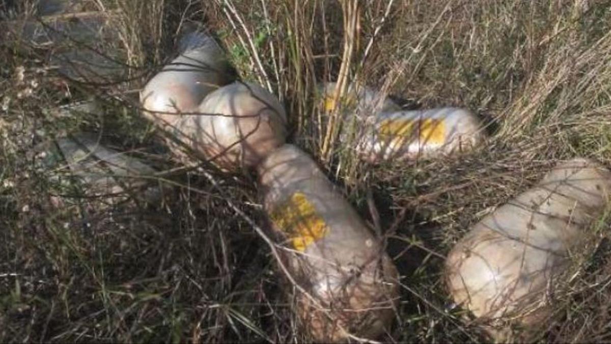 Troben més de 600 quilos de carn de kebab podrida en un solar d’Alzira, a València