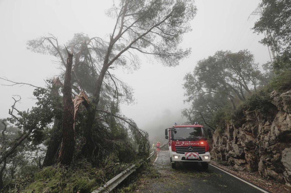 Carretera cortada en Valldemossa.