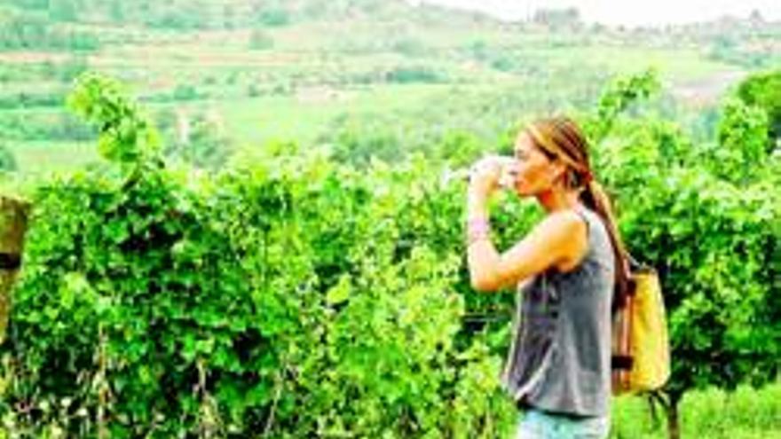 La certificación de la ruta del vino sube la demanda para adherirse