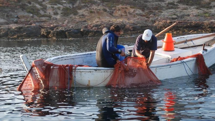 Agricultura quiere vigilar los pesqueros con menos de 15 metros de eslora