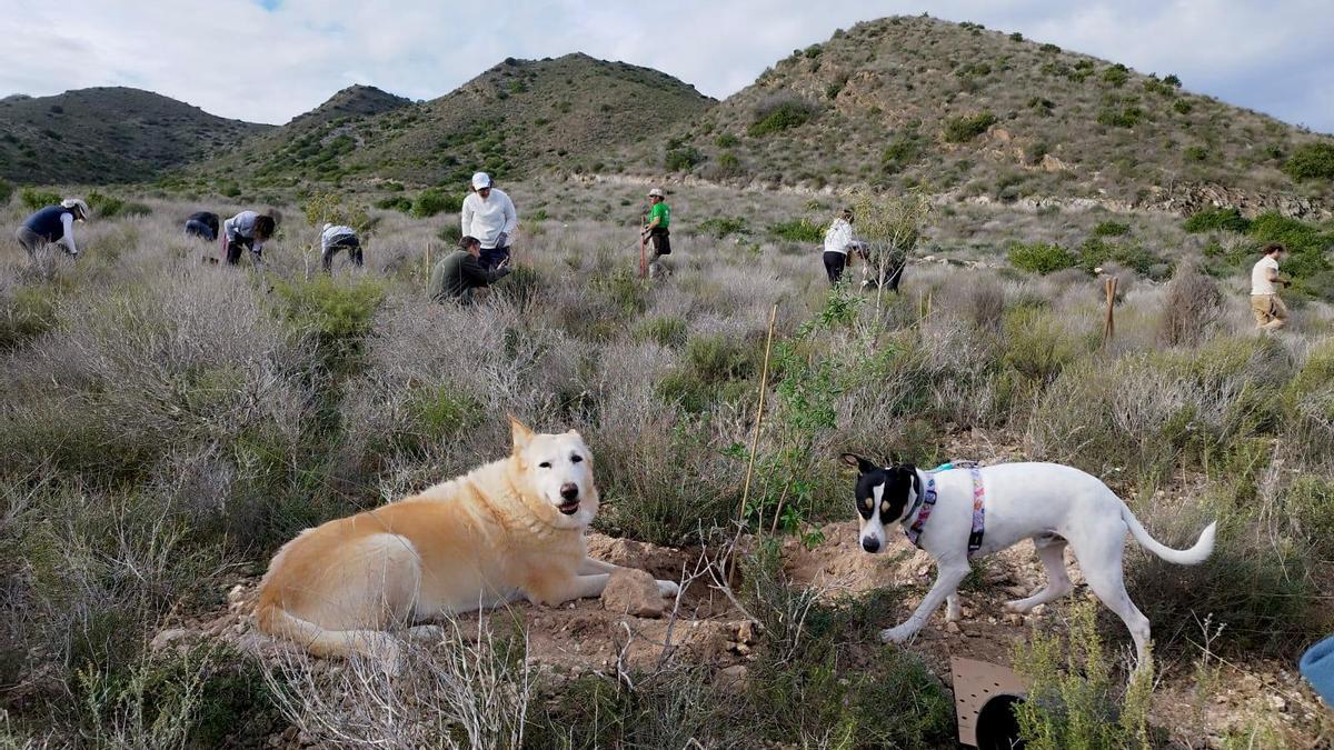 Primera Jornada de plantación con especies de plantas autóctonas.