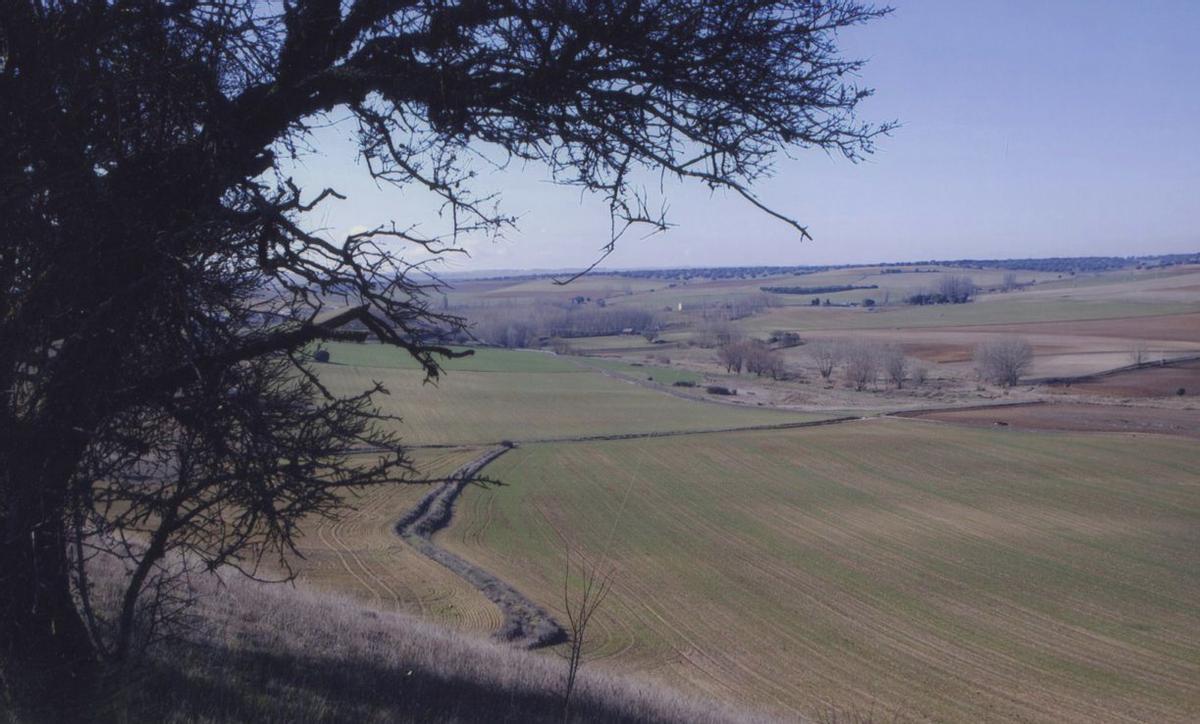 Vallesa de la Guareña, ocupa el rincón más meridional de la provincia zamorana
