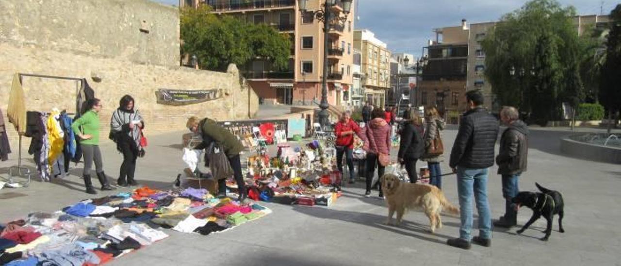 La Protectora de animales Burjassot anima a adoptar gatos positivos a inmuno