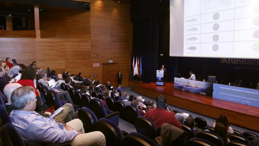 El congreso se celebra en la sede de Afundación.