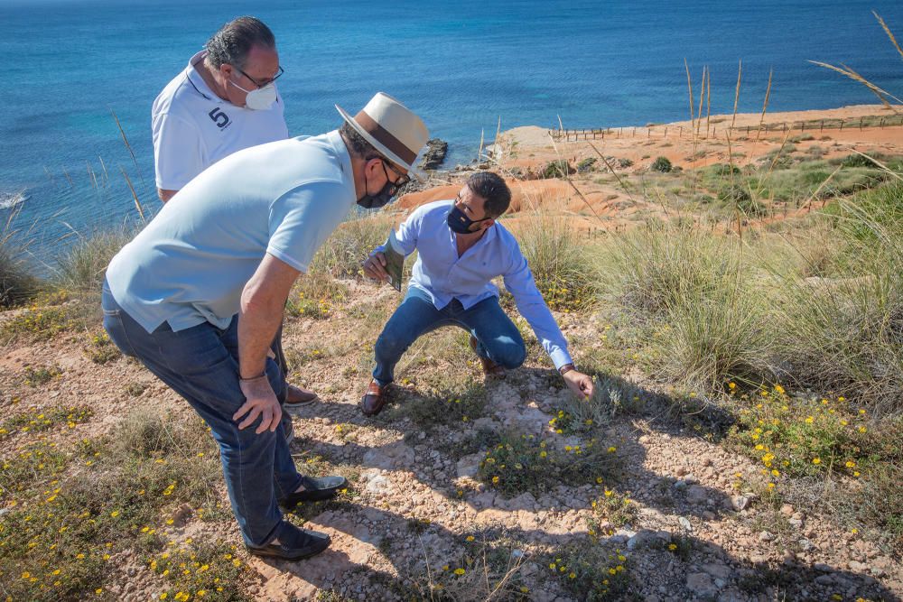 El Ayuntamiento de Orihuela ha invertido 32.000 euros en adecuar un sendero de 1,4 kilómetros en la microrreserva de flora de Punta de La Glea y ha presentado guía con las 56 especies de flora, muchas