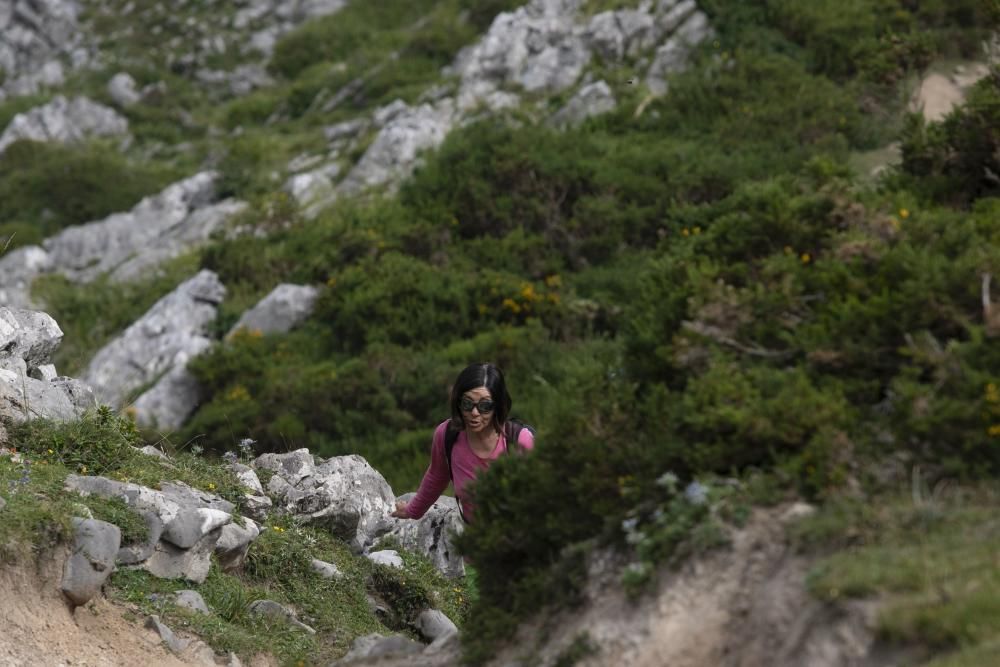 Ruta por Asturias: el mirador de Ordiales