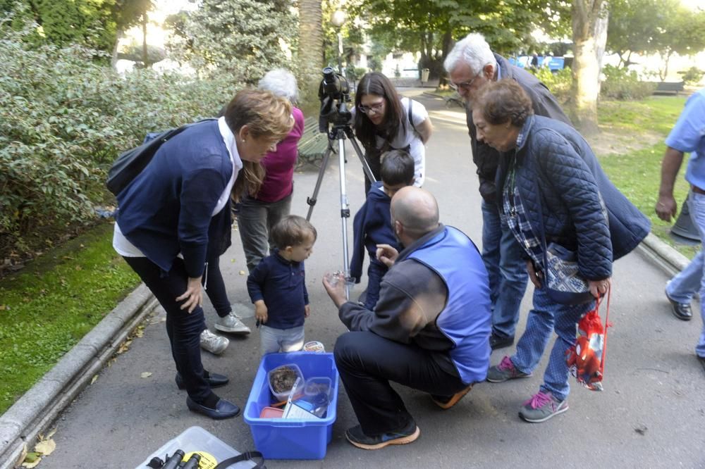 Día Mundial de las Aves en A Coruña