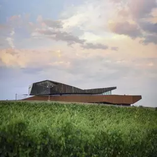 Vintae, la empresa que da valor a los pueblos pequeños y a sus bodegas a través de sus vinos y etiquetado
