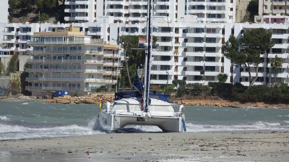 Wind und Wellen: Katamaran läuft auf Grund