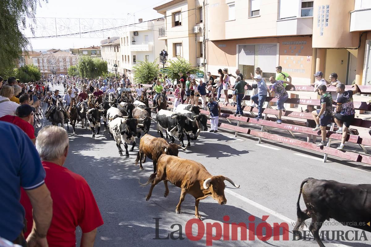 Sexto encierro de las Fiestas de Moratalla