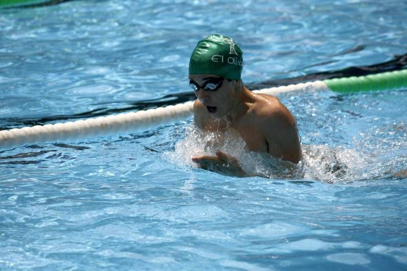 Fotogalería de las 12 horas del Olivar de natación