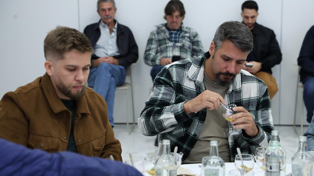 Fase final de las catas