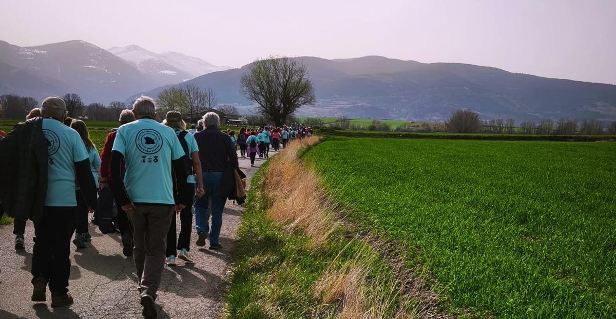 Els participants en l'Oncomarxa