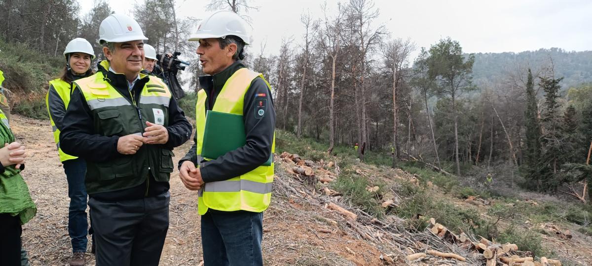 El consejero de Medio Ambiente, Juan María Vázquez, las visitas las actuaciones para contener el decaimiento forestal en El Valle.