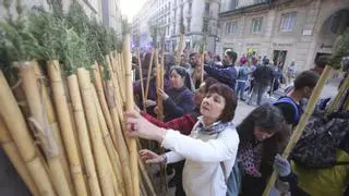 Santa Faz: ¿Cuándo es Santa Faz 2023? Día festivo en Alicante e historia de La Peregrina