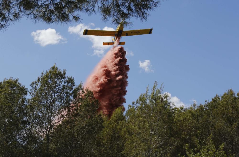 Incendio forestal en Carcaixent