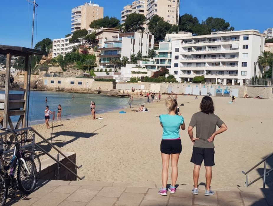 Mallorca vuelve a madrugar hoy para pasear y practicar deporte