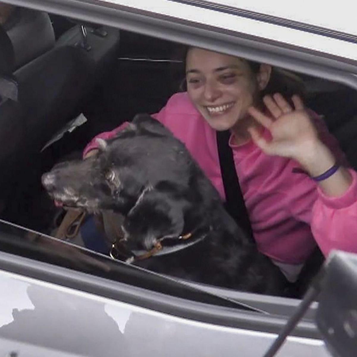 Rescatat en bon estat el gos Boro