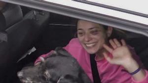 Rescatat en bon estat el gos Boro